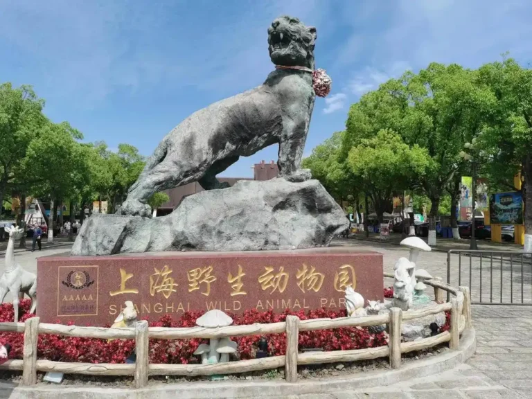 Parc animalier de Shanghai