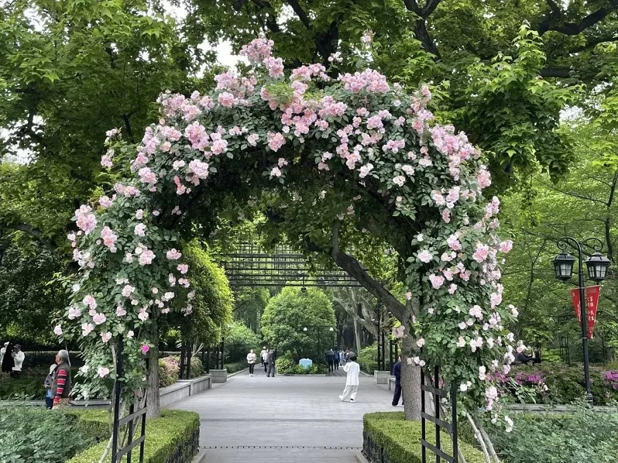 Fuxing Park