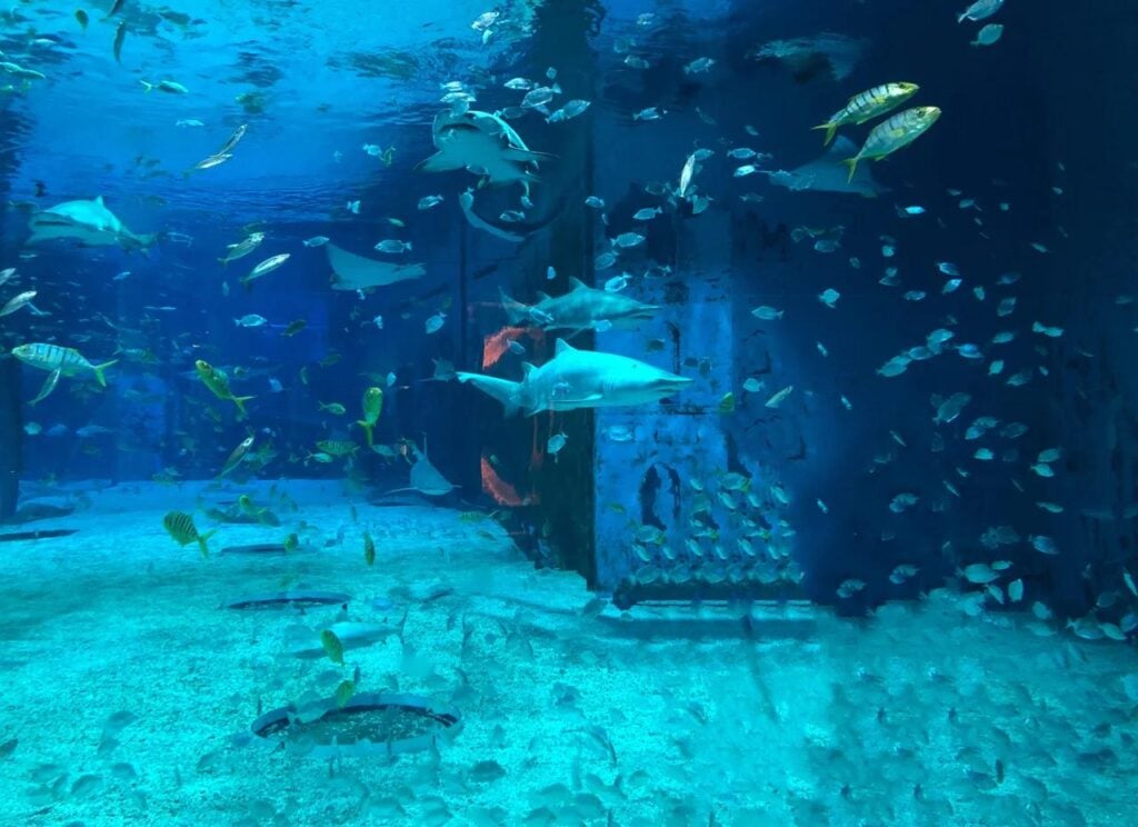 Aquarium de Pékin