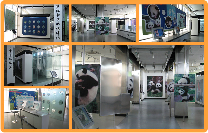 Panda Scientific Discovery Center