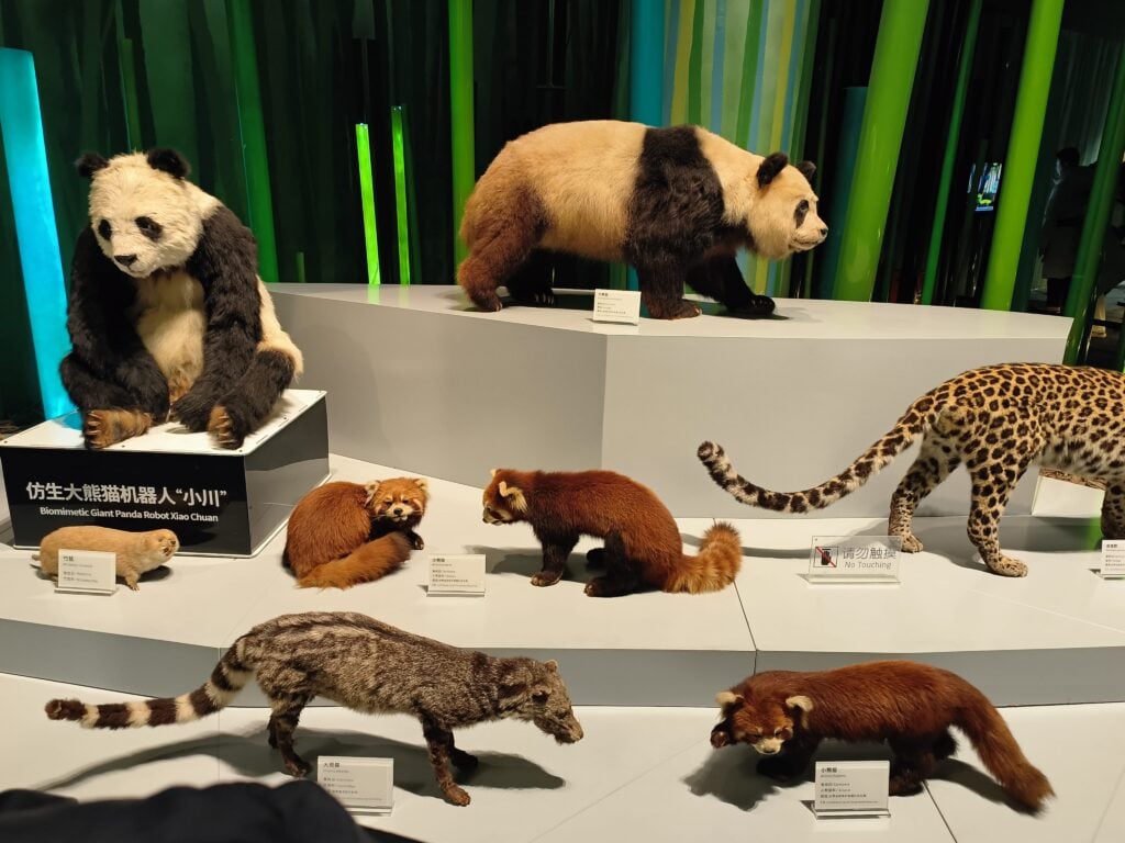 Muzeum pand velkých