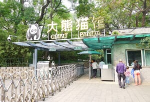la salle des pandas
