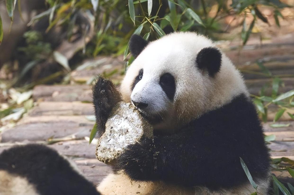 Chengdu