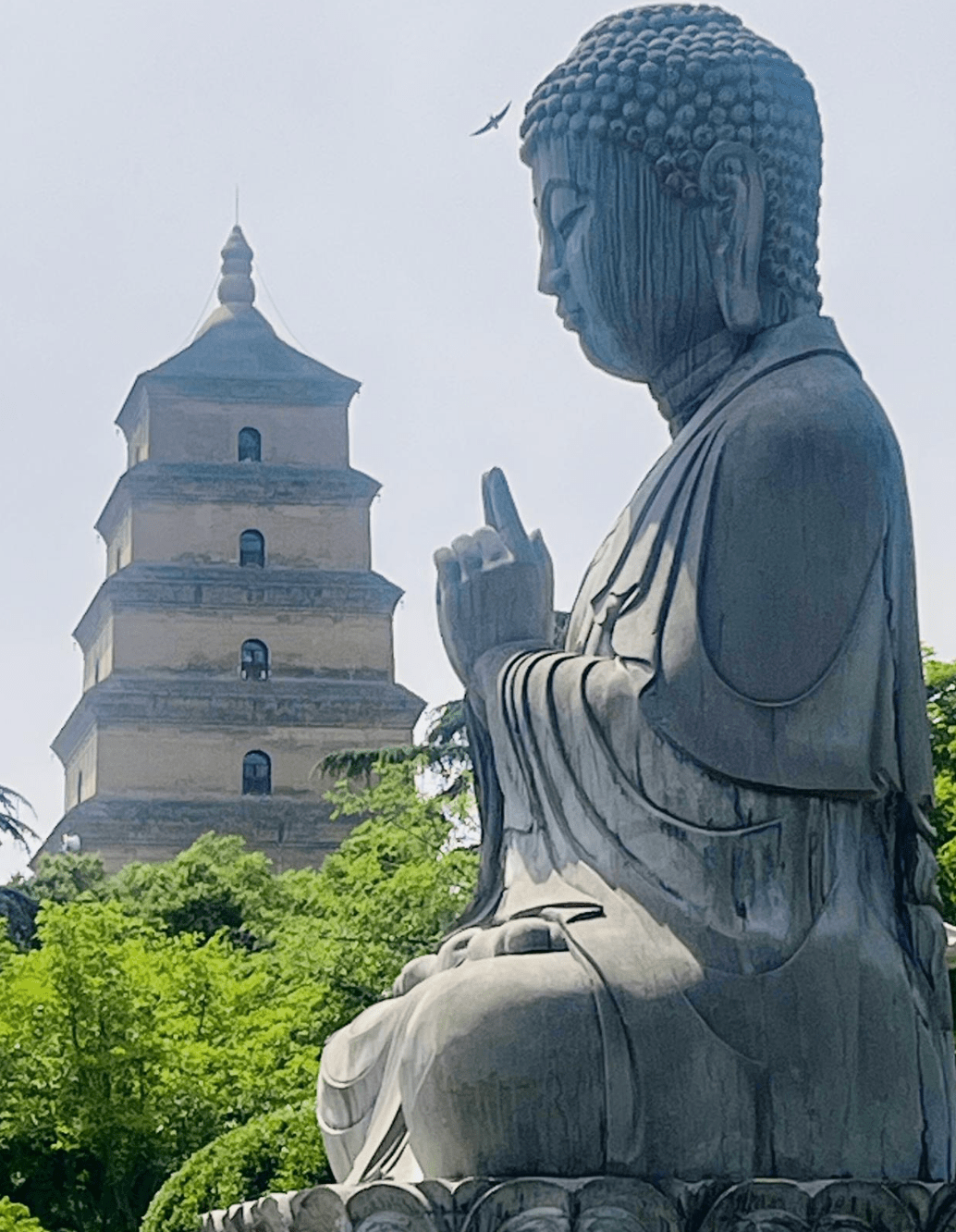 Statue de Bouddha et pagode géante de l'Oie sauvage