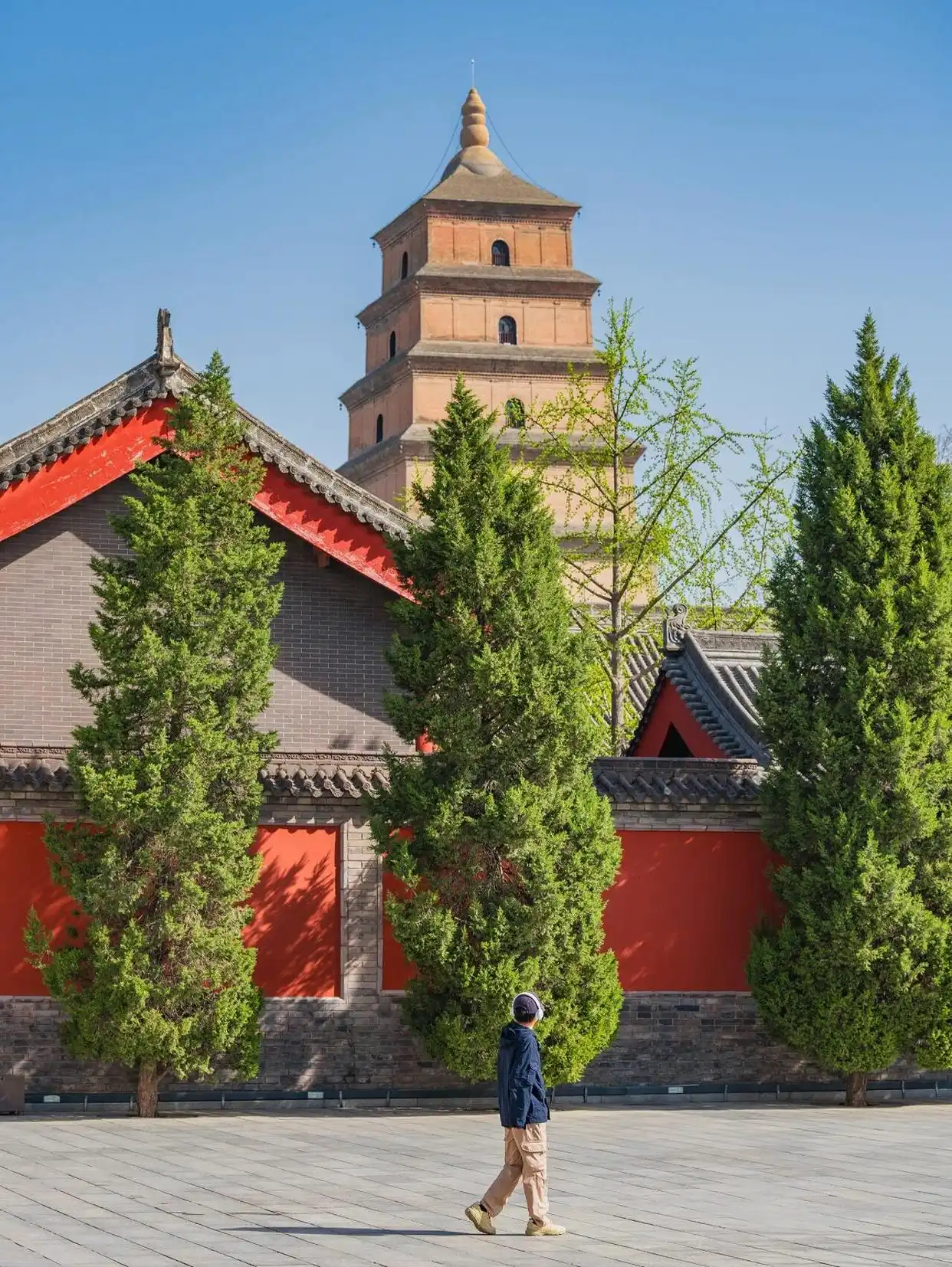 murs rouges verdure et pagode géante de l'oie sauvage