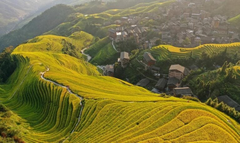 龍脊梯田
