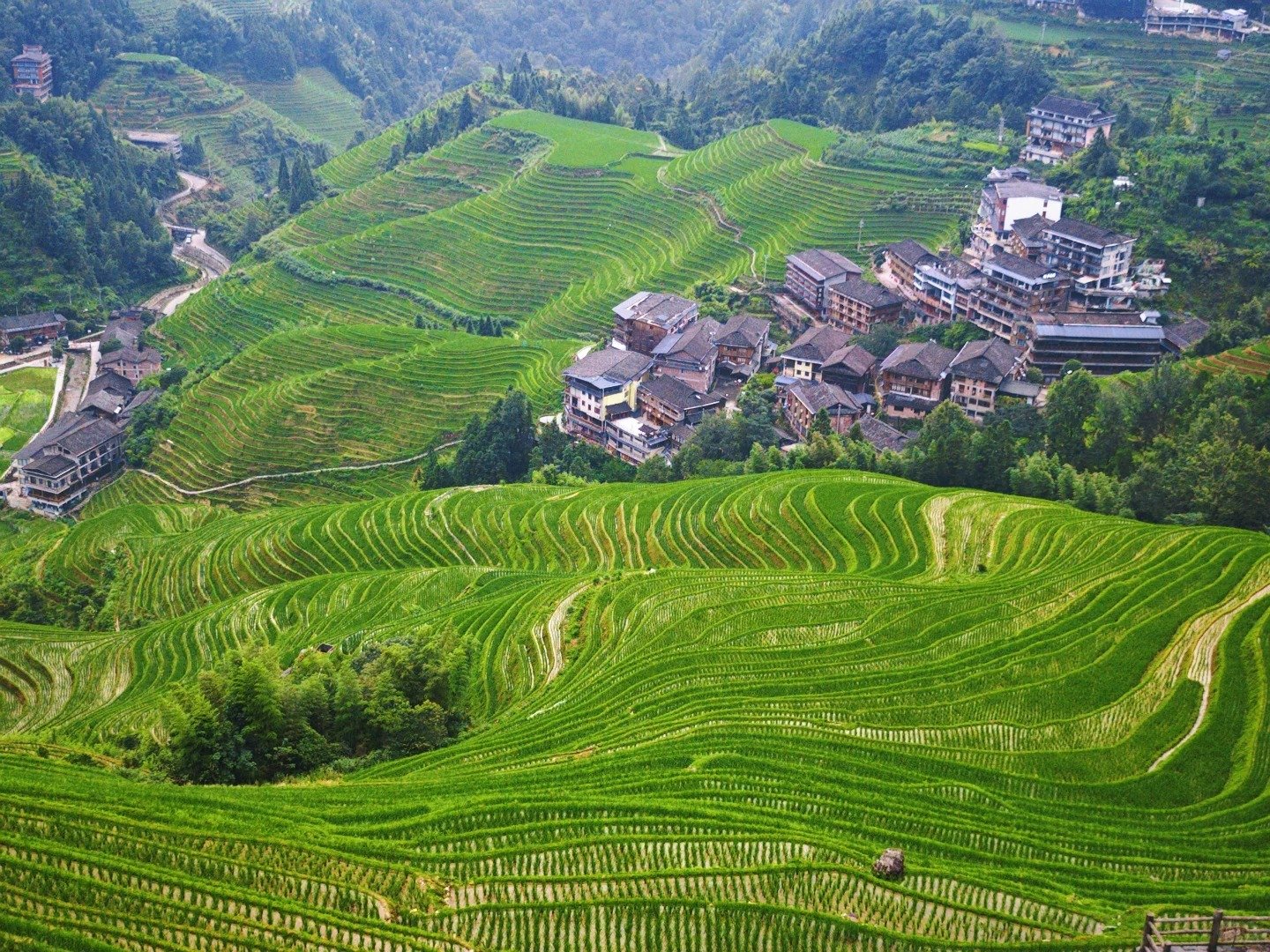 Terrazze di riso di Longji
