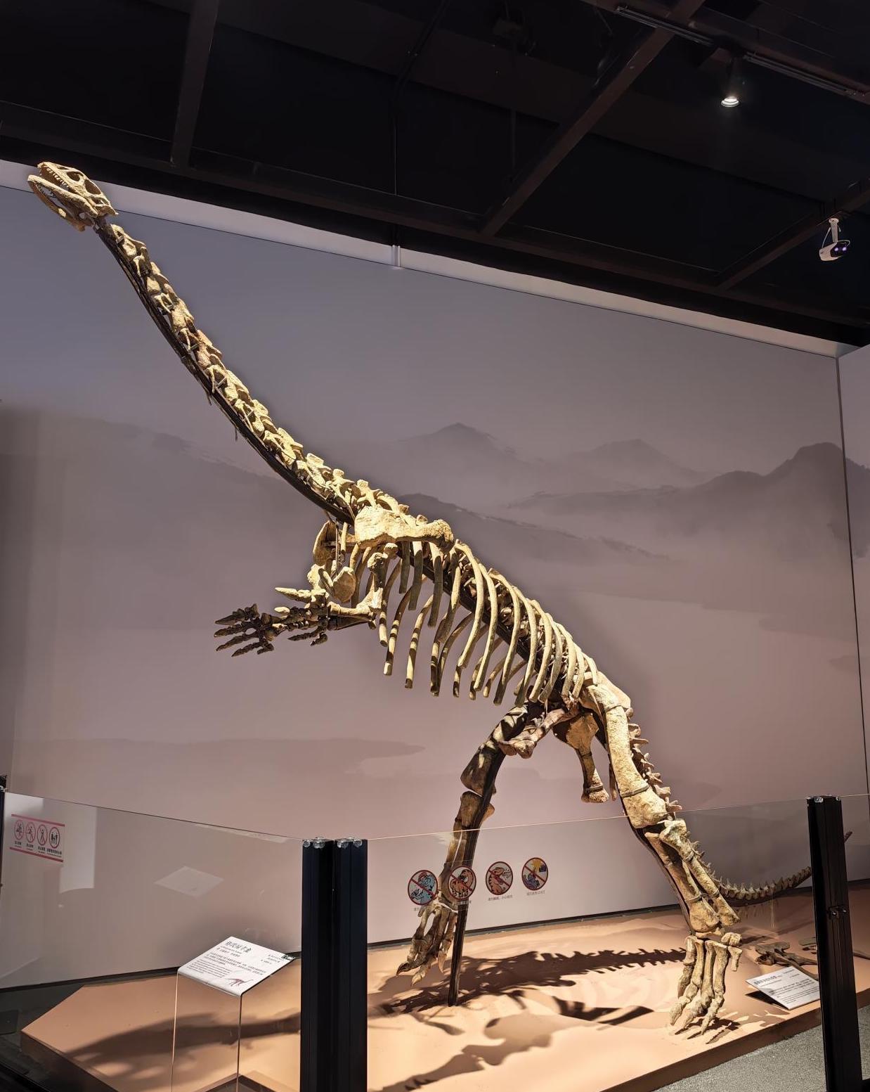 Lufengosaurus huenei