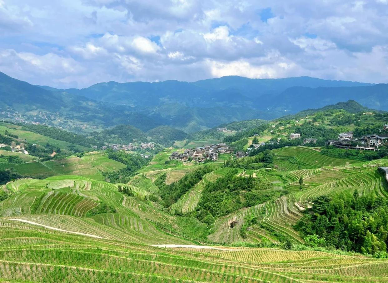 Musica della collina ovest