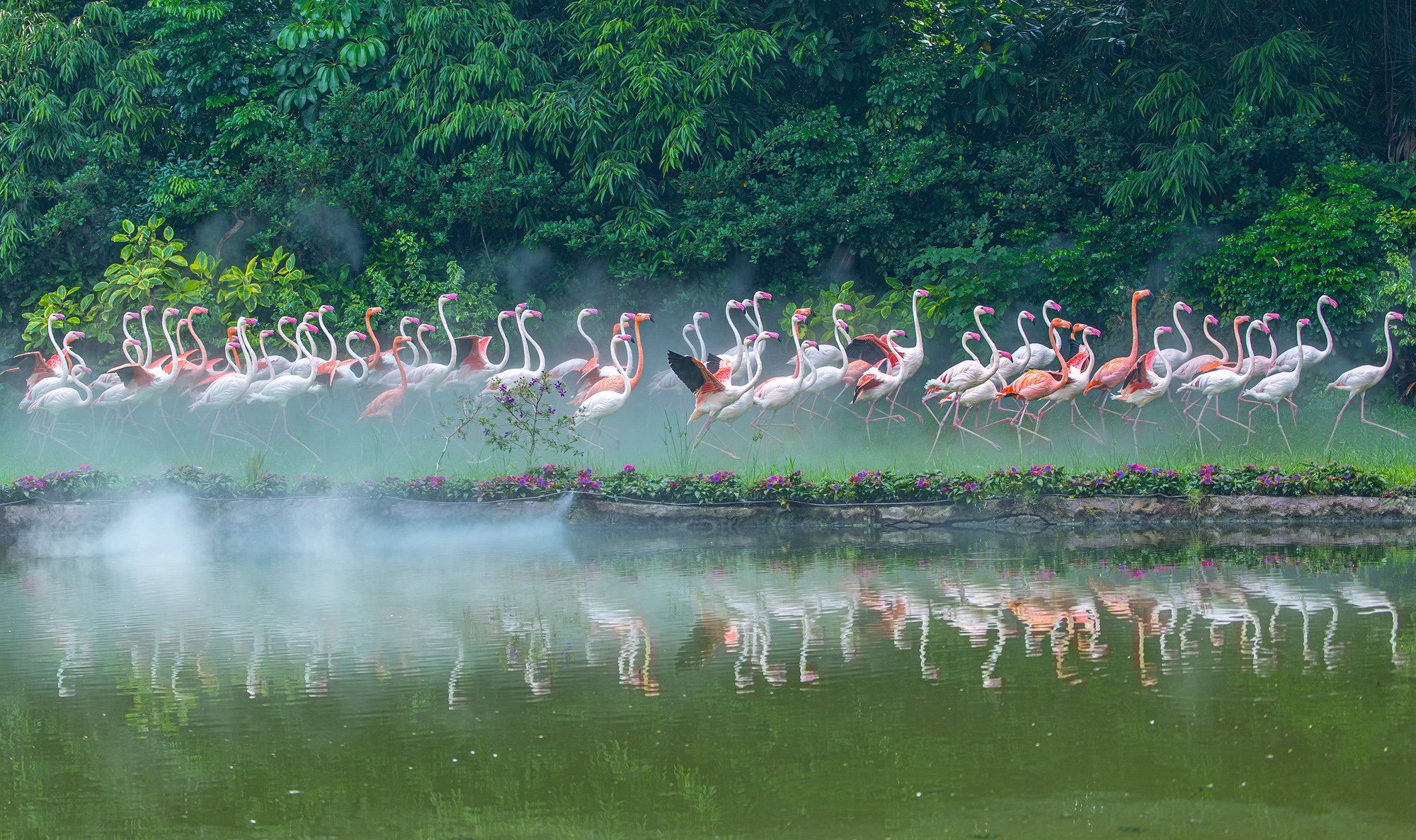 Hundred Birds Flying