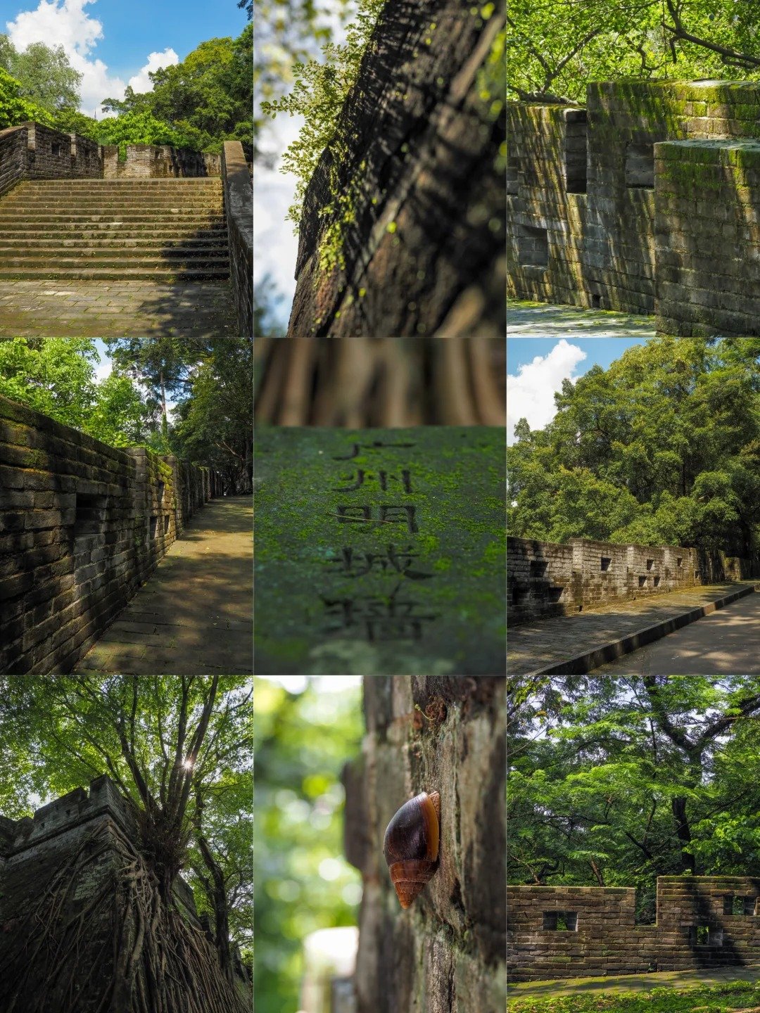 越秀公園內的明代城牆
