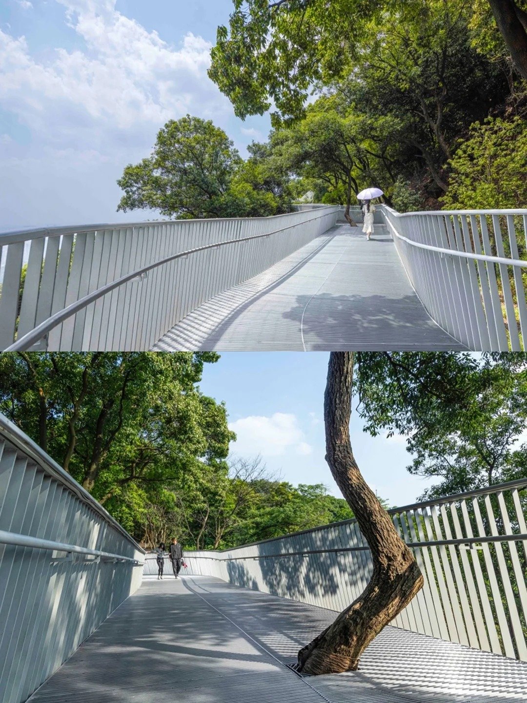 المصعد الكهربائي لمشاهدة معالم المدينة في جبل ديفيس