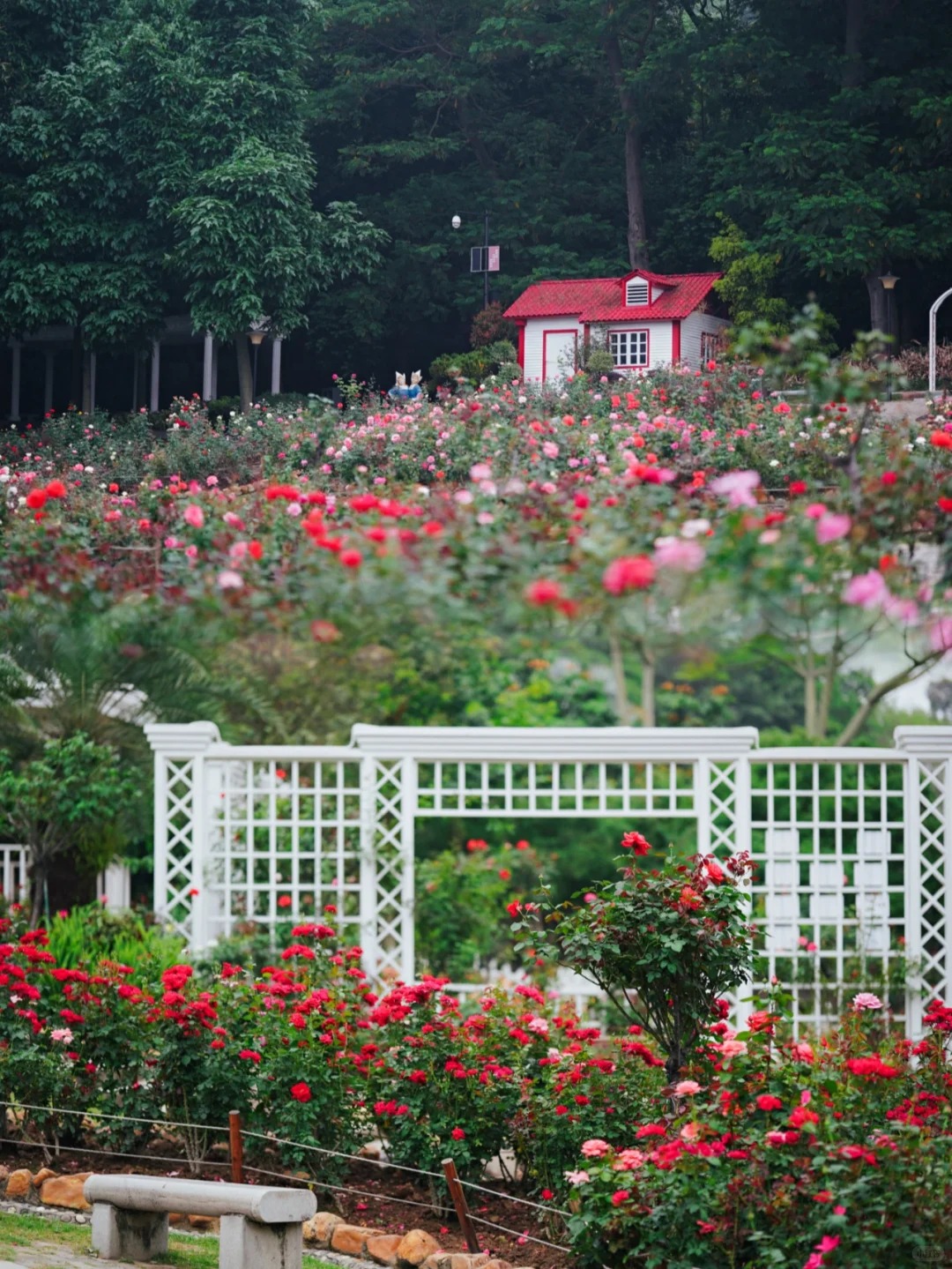 حديقة الورود