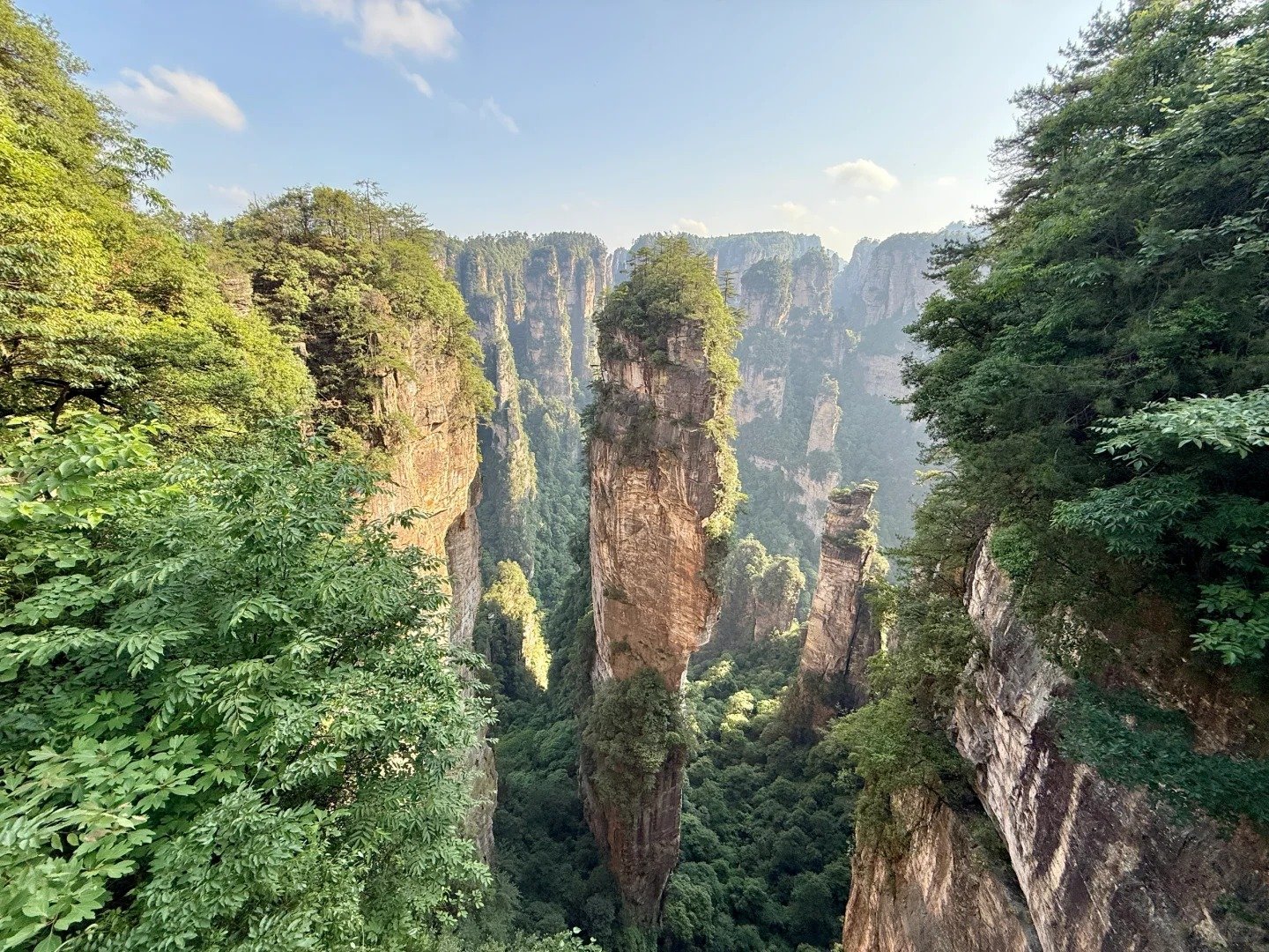 Avatar Hallelujah Mountain