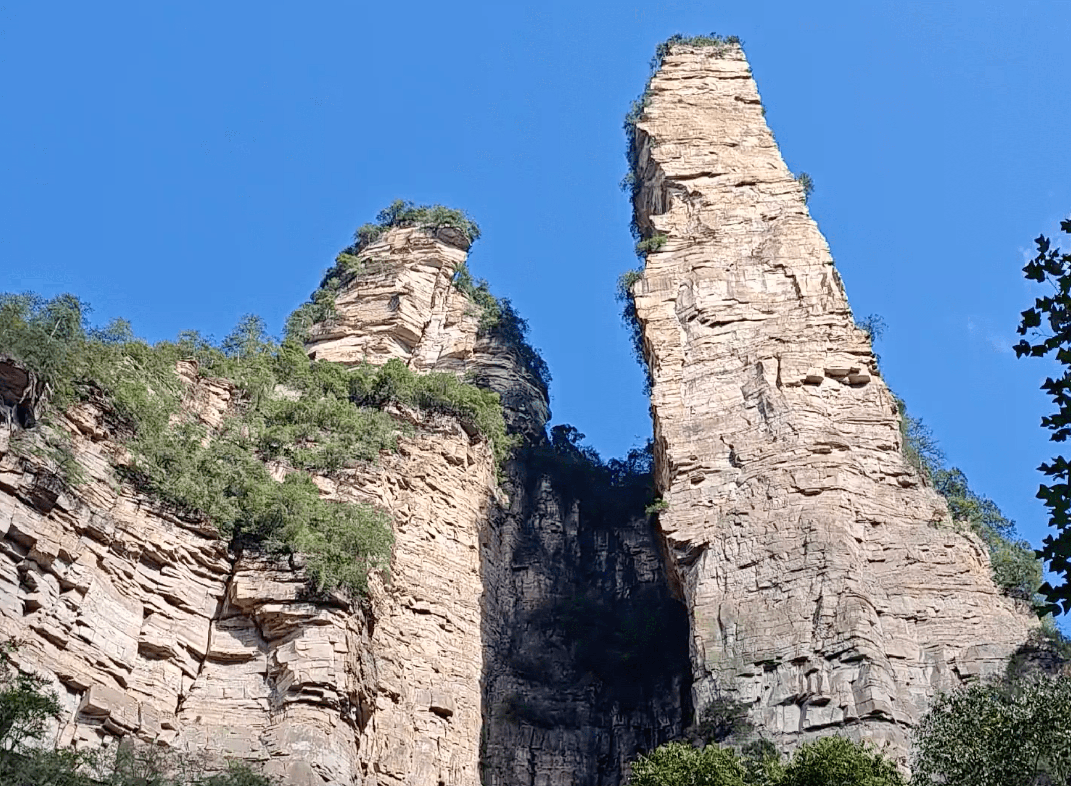 Guardian Eagle and Golden Whip