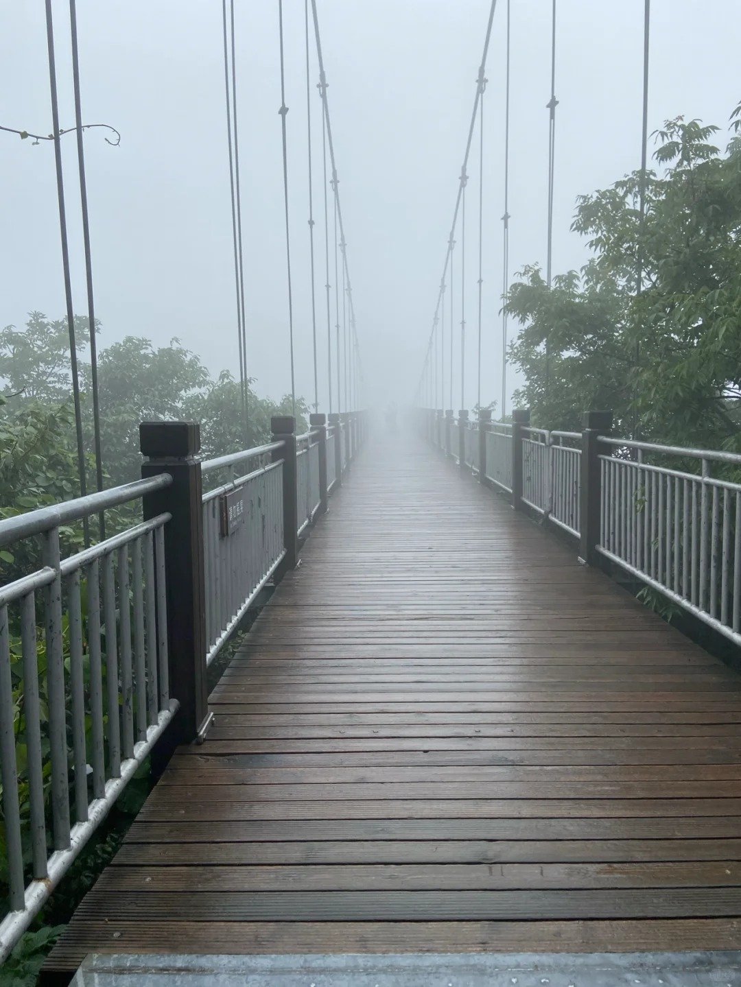 160-meter-long suspension bridge