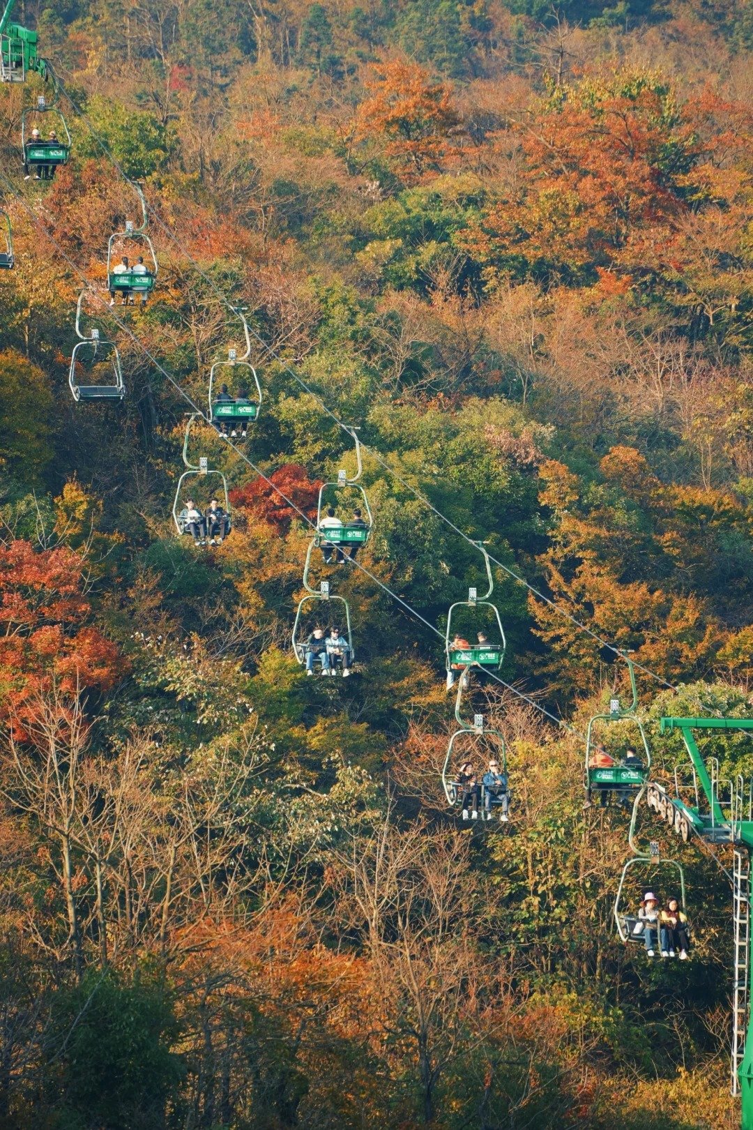 Tianmen Mountain in Autumn